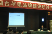 煙臺蘋果品牌建設(shè)研討會